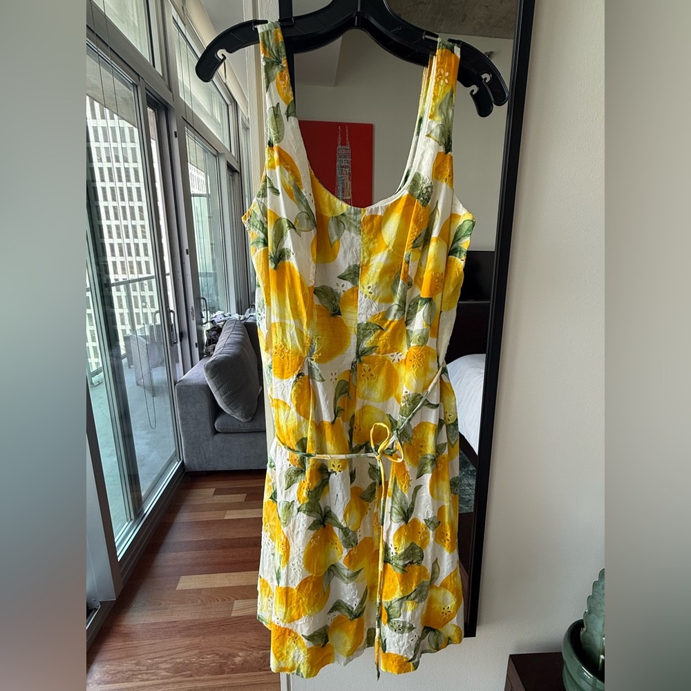 Lemon Crochet Print Dress